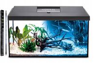 AKWARIUM 60x30x40 PROSTY 72L POKRYWA AQUAEL LEDDY DZIEŃ + NOC + WYPOSAŻENIE