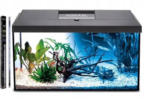 AKWARIUM 60x30x40 PROSTY 72L POKRYWA AQUAEL LEDDY DZIEŃ + NOC + WYPOSAŻENIE na Arena.pl