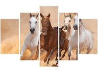 OBRAZ KONIE BIEGNĄCE GALOPEM
