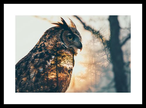 Plakat 30x20cm Sowi Duch na Arena.pl