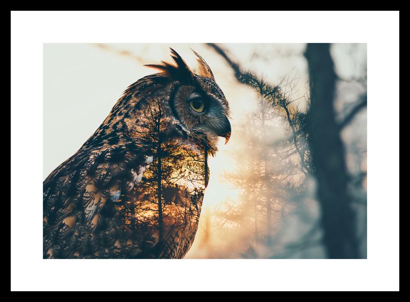 Plakat 30x20cm Sowi Duch zdjęcie 3