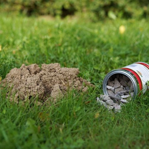 KARBID GRANULOWANY ŚRODEK NA KRETY ODSTRASZACZ KRETA KRETÓW KARBIT = na Arena.pl