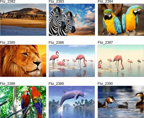 FOTOTAPETA PTAK NATURA ORZEŁ W LOCIE NIEBO WODA na Arena.pl