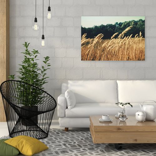 Deco Panel, Dojrzałe zboże 60x40 na Arena.pl