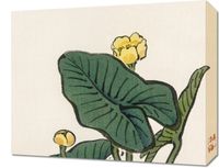 Obraz 50x40cm Water-Lily, Kōno Bairei Japoński Vintage do Salonu