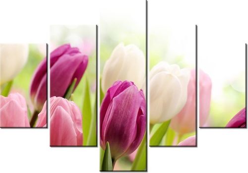 70 100CM OBRAZ 5 ELEM SOCZYSTE TULIPANY DRUK PŁÓTNO na Arena.pl
