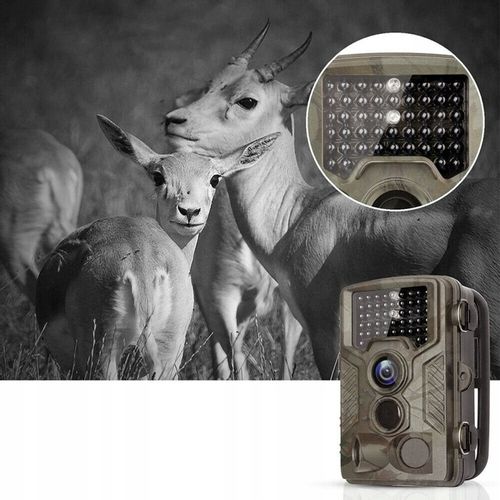 FOTOPUŁAPKA KAMERA LEŚNA DO LASU HC-800A 50MPX na Arena.pl