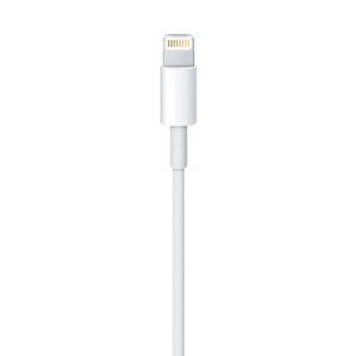 Apple Lightning to USB Cable (2 m) na Arena.pl