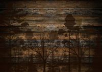 FOTOTAPETA FLIZ drewno deski tło drzewa 350x245