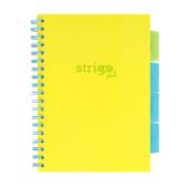 strigo pads neon b5 linia żółty