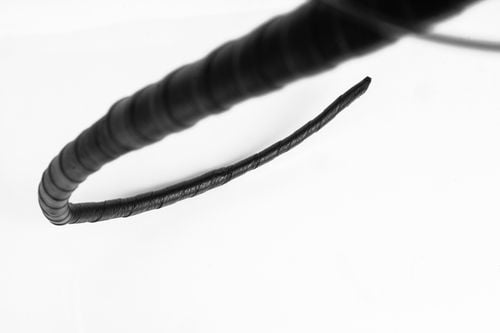 świński ogon primal bond whips na Arena.pl