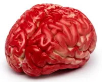 Czerwony Sztuczny Mózg jak Żywy - Zabawny Gadżet, Dekoracja