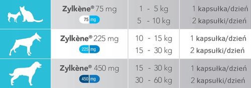 Vetoquinol Zylkene 225 mg 30 kapsułek na Arena.pl