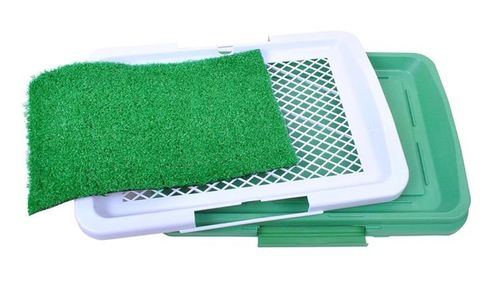 Kuweta dla psa na Arena.pl