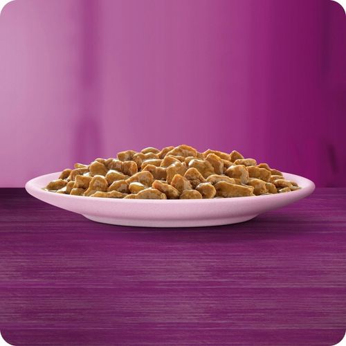 MOKRA KARMA WHISKAS JUNIOR DROBIOWA UCZTA 40x85G MIX SMAKÓW W GALARETCE na Arena.pl