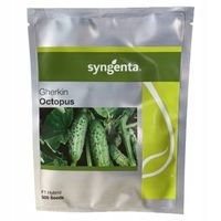 OGÓREK OCTOPUS 500 szt. ŚWIEŻE NASIONA HOLENDERSKIE ZAPR. NIEZAWODNE pr2025