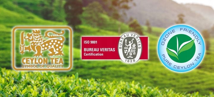 Basilur MANGO ORANGE biała herbata liściasta POMARAŃCZA - 100g zdjęcie 2