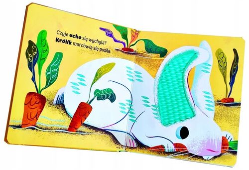 KSIĄŻECZKA KSIĄŻKA DOTYKOWA SENSORYCZNA WIEŚ na Arena.pl