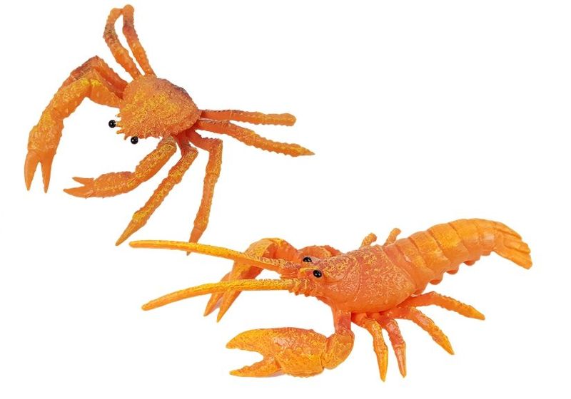 ND24_7104 Zestaw Zwierzt Morskich Ruchome Eleme zdjęcie 6