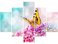 70 100CM OBRAZ 5 ELEM MOTYL KWIATKACH DRUK PŁÓTNO