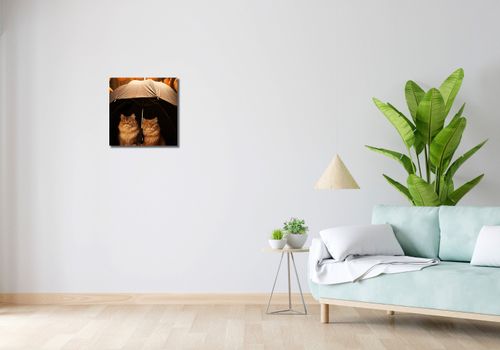 Obraz 40x40cm Jesienny Koci Schron na Arena.pl