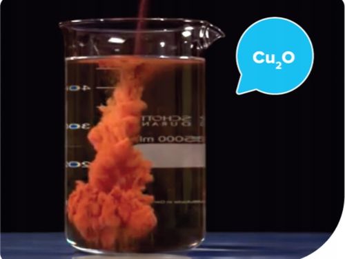 Nordox 75WG MIEDZ 1kg ŚRODEK GRZYBOBÓJCZY choroby grzybowe PARCH MĄCZNIAK na Arena.pl