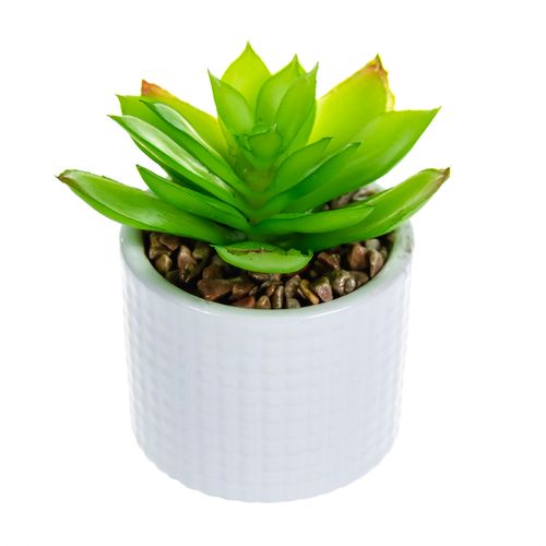 Pepco Sztuczna Roślinka W Doniczce "basic" P13 na Arena.pl