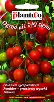 NASIONA Pomidor Gruntowy Wysoki Pokusa 0,5g PLANTICO 405257