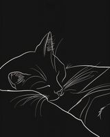 Plakat 40x50cm Nocny Spokój