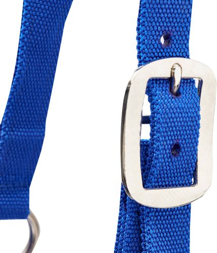 Kantar dla bydła, niebieski, Kerbl na Arena.pl