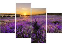 product-compare-58705901