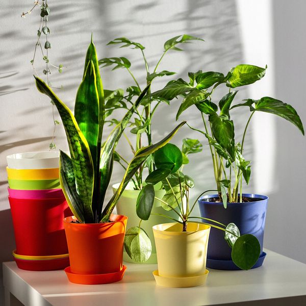 DONICZKA DONICA NA KWIATY OSŁONKA KOLORY 11CM zdjęcie 9