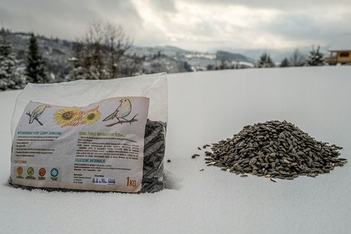 CZARNY SŁONECZNIK ZIARNO POKARM DLA PTAKÓW 5KG ZDROWY I POŻYWNY NA ZIMĘ na Arena.pl