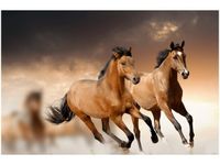 60X40CM STADO KONI OBRAZ