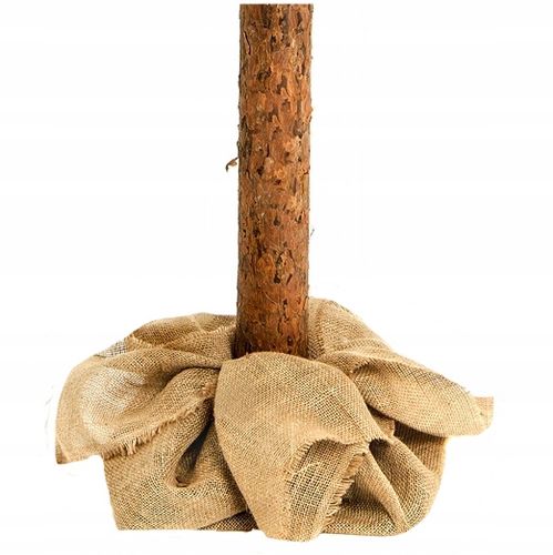 CHOINKA SZTUCZNA 180 CM NA PNIU PIĘKNA SOSNA DIAMENTOWA GĘSTA OŚNIEŻONA na Arena.pl