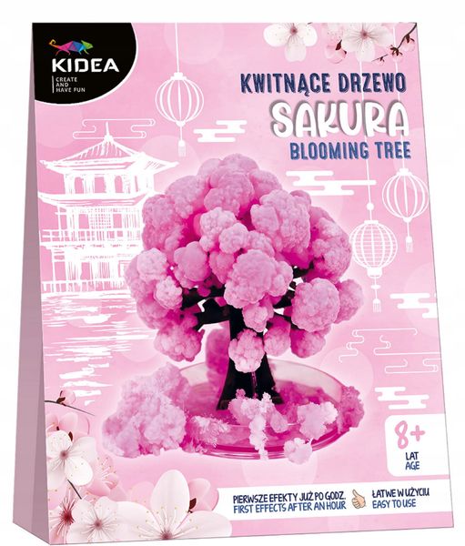 /{KWITNĄCE DRZEWO SAKURA KIDEA zdjęcie 1