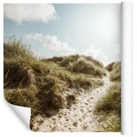 Fototapeta 3D Wydmy Rośliny Piasek do Salonu 405x270