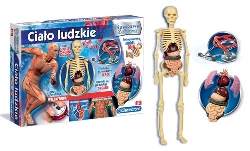 Clementoni Ciało ludzkie na Arena.pl