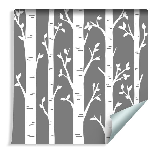 Tapeta Brzozy na Szarym Tle zdjęcie 1