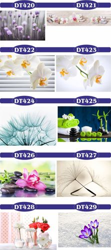 fototapety FOTOTAPETA na wymiar KWIAT kamienie SPA na Arena.pl