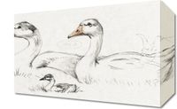 Obraz 30x20cm Dwie Gęsi i Młode, Jean Bernard Vintage do Salonu