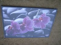 obraz czarna rama  70/100