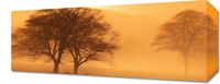 Obraz 50x20cm Zmierzch nad Polanami