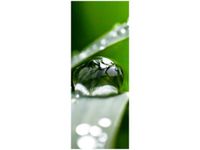 40X100CM PORANNA ROSA JENNY DOWNING OBRAZ PION