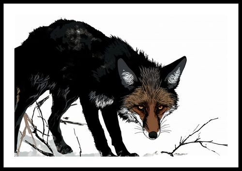 Plakat 60x40cm Nieufny Lis na Arena.pl