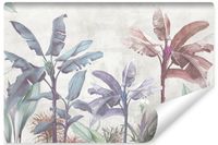 Fototapeta Do Salonu Drzewa BANANOWE Abstrakcja Mur 450cm x 300cm