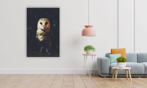 OBRAZ NA PŁÓTNIE 139 Sowa 30x40cm na Arena.pl
