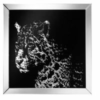 Lustrzany obraz z kryształkami Glamour Puma 80x80