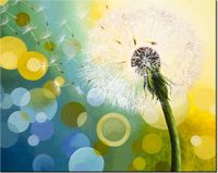 product-compare-58645615