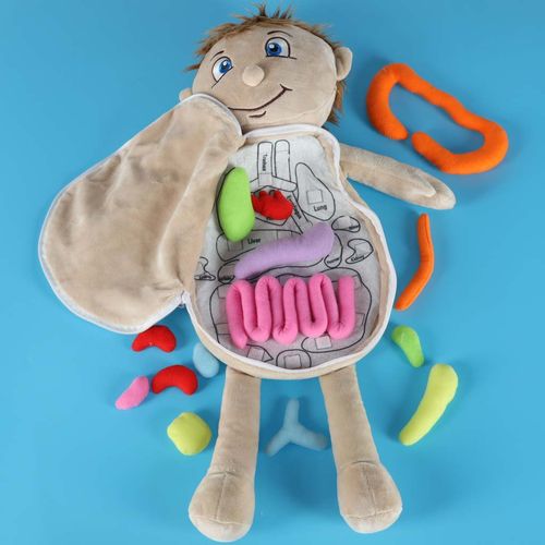 INTERAKTYWNA LALKA EDUKACYJNA DO NAUKI na Arena.pl